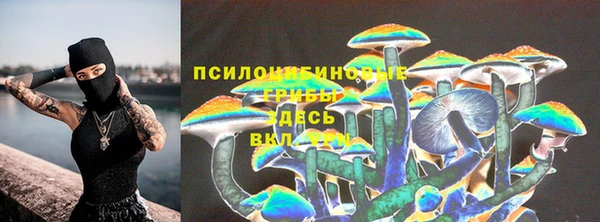 бошки Переславль-Залесский